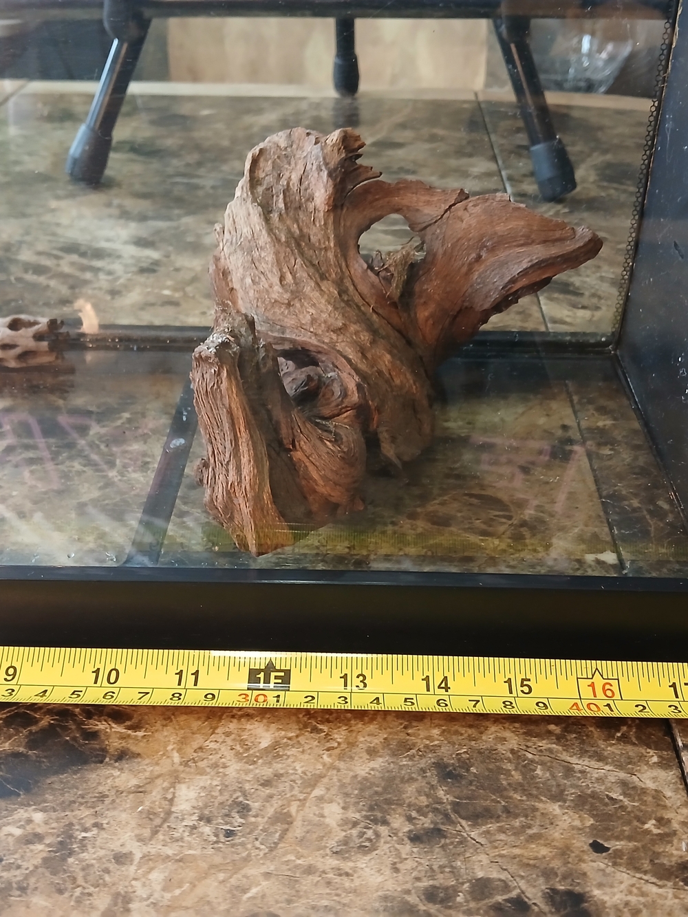 Fluval Spec V Aquarium Kit, 5-Gallon, Black tested works great
The Fluval Spec - Picture 2 of 12